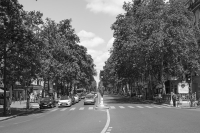 http://www.emileouroumov.fr/files/gimgs/th-50_25_EMO9955_Bastille-Beaumarchais_5 juillet_web.jpg